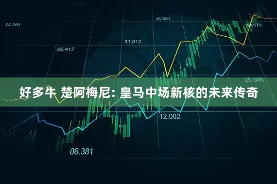 好多牛 楚阿梅尼: 皇马中场新核的未来传奇