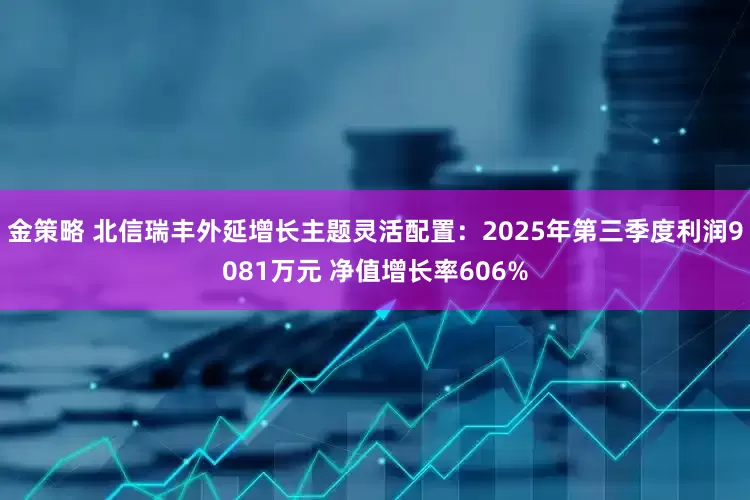 金策略 北信瑞丰外延增长主题灵活配置：2025年第三季度利润9081万元 净值增长率606%